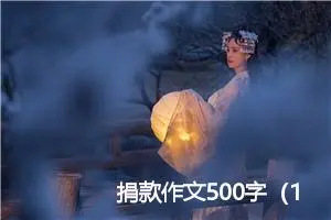 捐款作文500字（17篇）