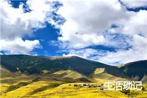 生活琐记