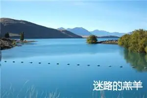 迷路的羔羊