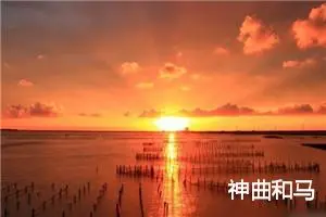 神曲和马