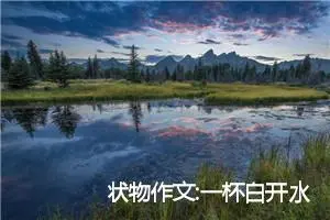状物作文:一杯白开水