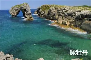 咏牡丹