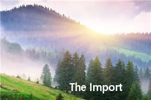 The Importance of English