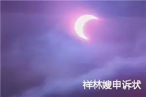 祥林嫂申诉状