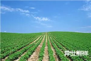 异世熊祥
