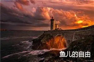 鱼儿的自由