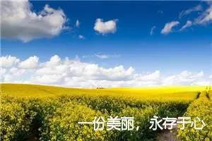 一份美丽，永存于心