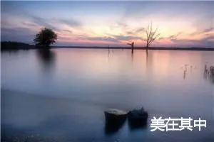 美在其中