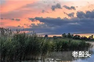 老殷头