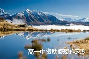 高一中资助感恩作文800字(优秀24篇)