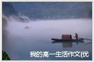 我的高一生活作文(优秀22篇)