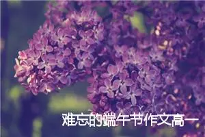 难忘的端午节作文高一(优秀30篇)