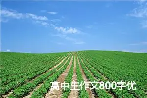 高中生作文800字优秀