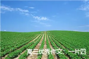 高三优秀作文：一片四叶草