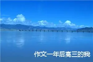 作文一年后高三的我