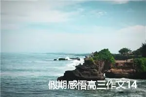 假期感悟高三作文14篇