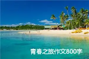 青春之旅作文800字（5篇）