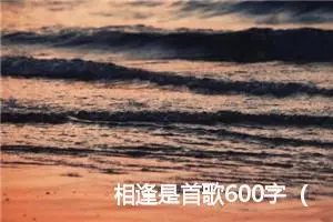 相逢是首歌600字（30篇）
