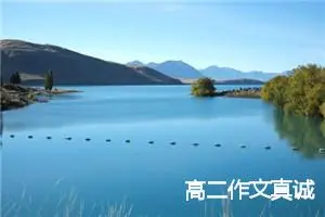 高二作文真诚