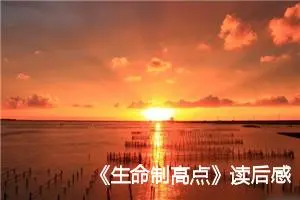 《生命制高点》读后感