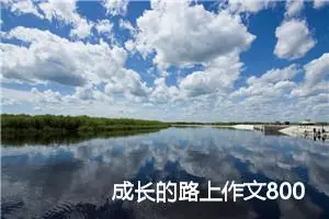 成长的路上作文800字（精选30篇）