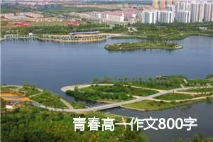 青春高一作文800字