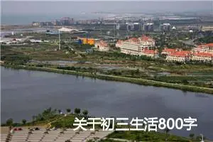 关于初三生活800字记叙文(优秀19篇)