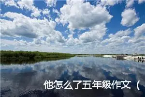 他怎么了五年级作文（精选38篇）