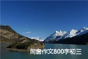 同窗作文800字初三(优秀23篇)