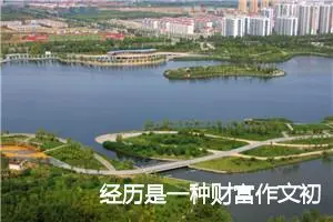 经历是一种财富作文初二(优秀14篇)