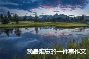 我最难忘的一件事作文初二(优秀17篇)