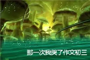 那一次我哭了作文初三(优秀14篇)