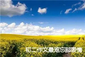 初二作文最难忘那表情(优秀30篇)