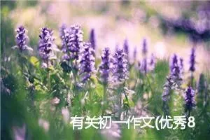 有关初一作文(优秀8篇)