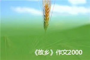 《故乡》作文2000字