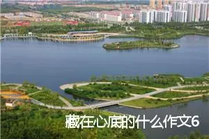 藏在心底的什么作文600字初二