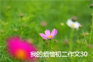 我的烦恼初二作文300字