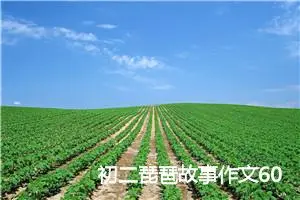 初二琵琶故事作文600字(优秀11篇)