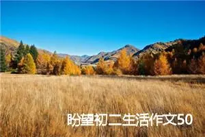 盼望初二生活作文500字作文开头(优秀29篇)