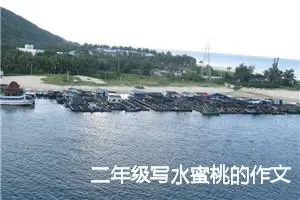 二年级写水蜜桃的作文16篇