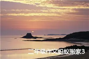 二年级作文蚂蚁搬家300字作文怎么写(优秀5篇)