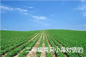 二年级两只小鸟对话的作文(优秀8篇)
