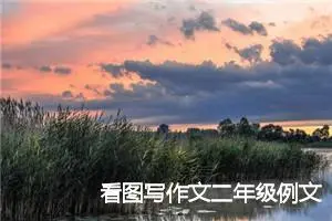 看图写作文二年级例文上学路上(优秀6篇)