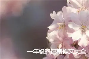 一年级的记事作文大全(优秀11篇)