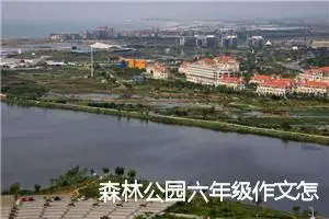 森林公园六年级作文怎么写作文(优秀12篇)