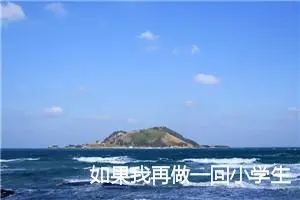 如果我再做一回小学生生作文六年级(优秀15篇)