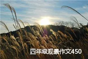 四年级观景作文450字(优秀23篇)