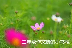 二年级作文我的小书柜(优秀19篇)