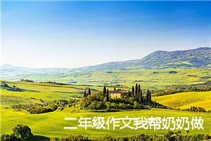二年级作文我帮奶奶做家务5篇