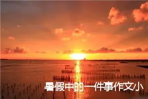暑假中的一件事作文小学二年级38篇
